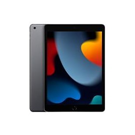 IPAD 10.2 CHIP A13 BIONIC / NOVENA GENERACION / WI-FI / 256GB / GRIS ESPACIAL APPLE MK2N3LZ/A